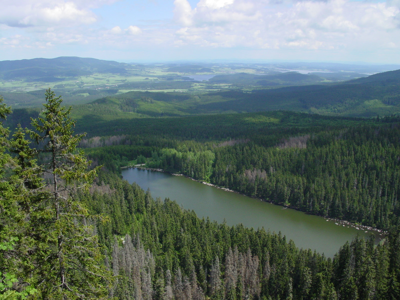 Šumava