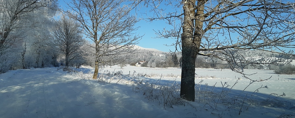 Šumava
